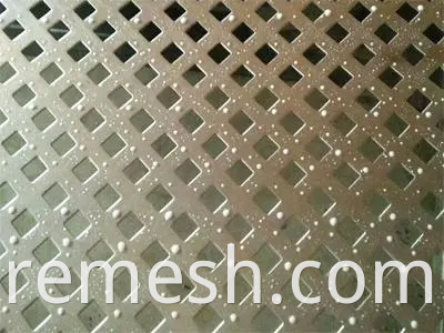 Stainless Steel Punching Hole Decorative Perforated Metal Mesh